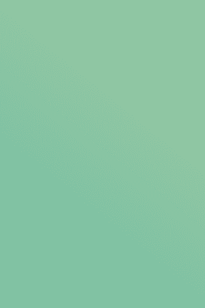 shape_Asset-3